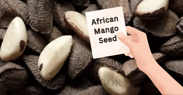 Brazil Seed