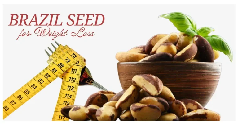 brazil seed for weight loss