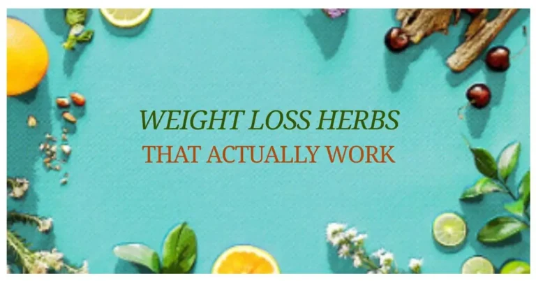 weight loss herbs