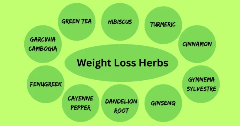 weight loss herbs2