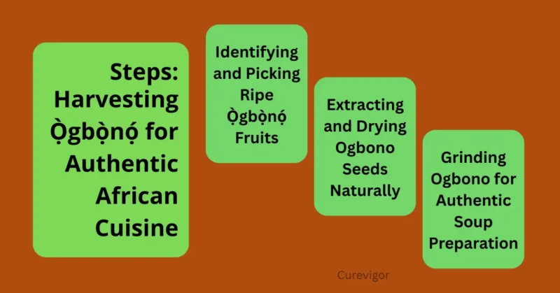 African Cuisine-3 steps