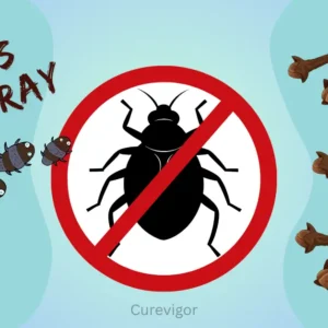 Cloves Bug Spray