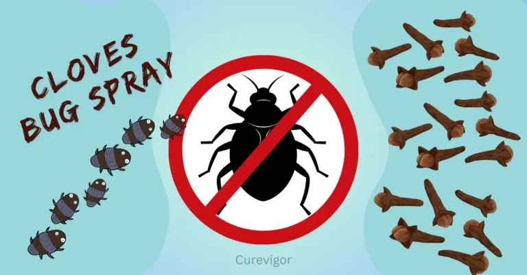 Cloves Bug Spray