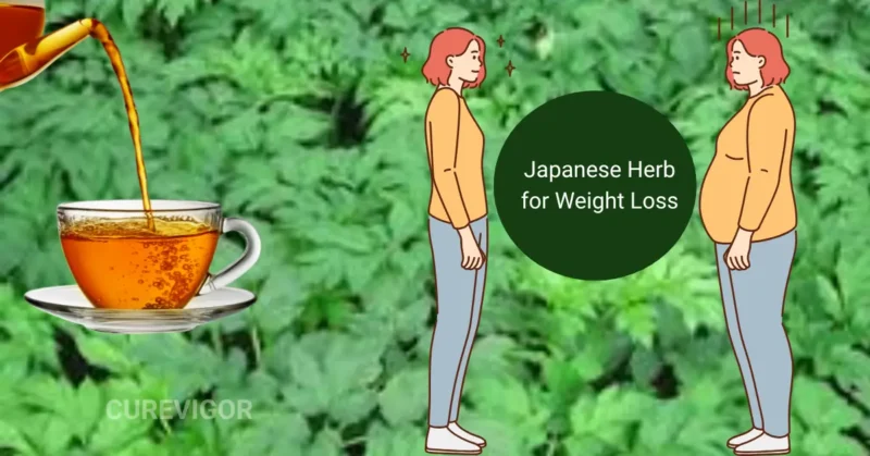 Japanese Tea for Weight Loss