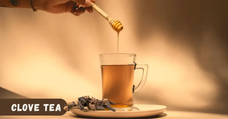 clove tea for beginners