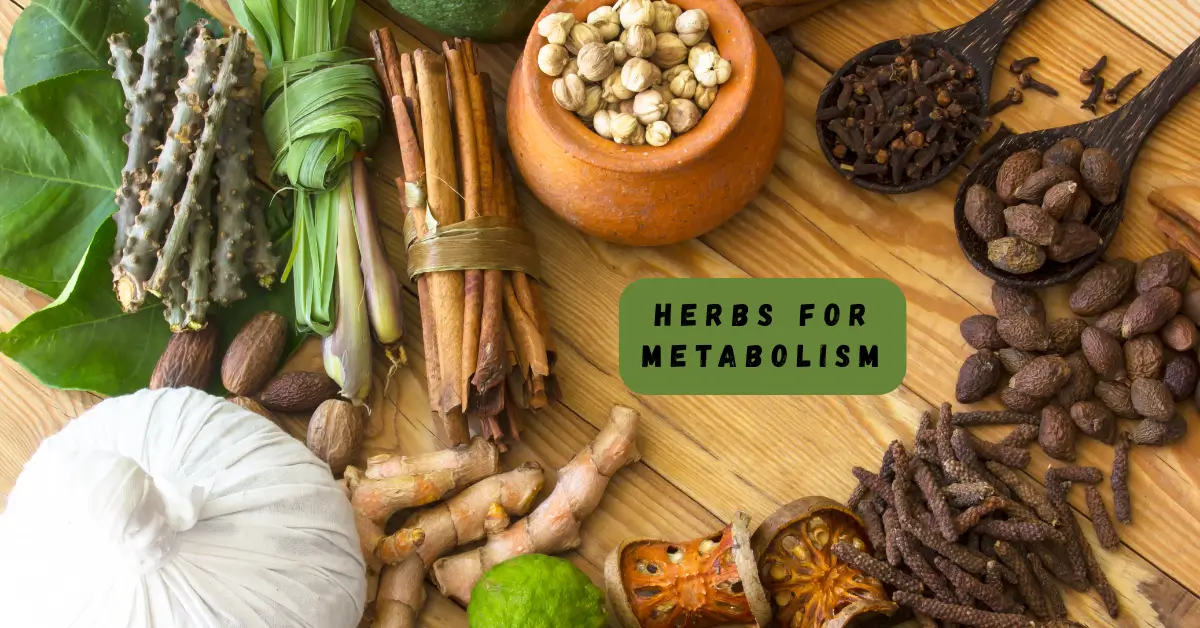 Herbs for Metabolism
