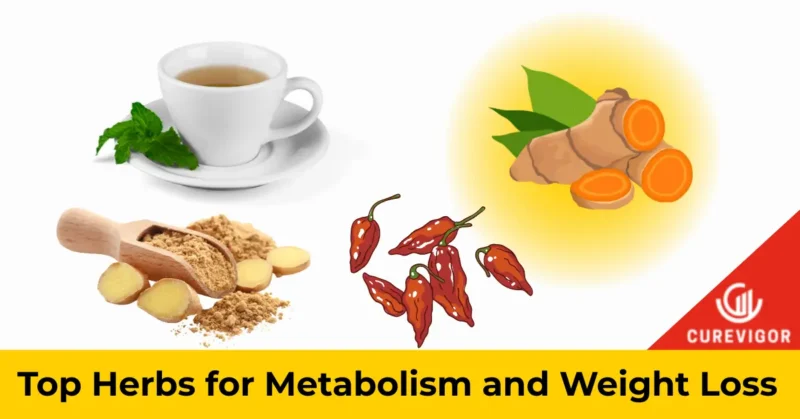 Herbs for Metabolism and Weight Loss