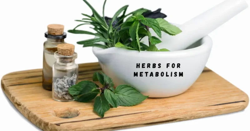 Herbs for Metabolism support weight loss