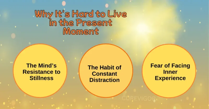 Hard to Live in Present Moment