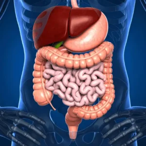 How to Manage Night Shift Digestive Problems