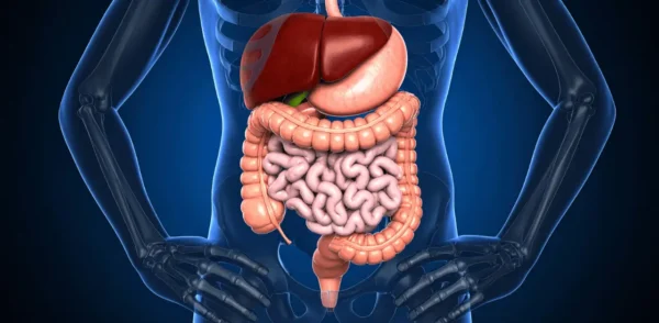 How to Manage Night Shift Digestive Problems