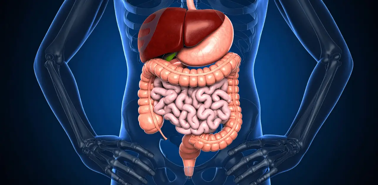 How to Manage Night Shift Digestive Problems