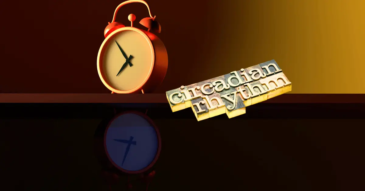 Circadian Rhythm Hacks