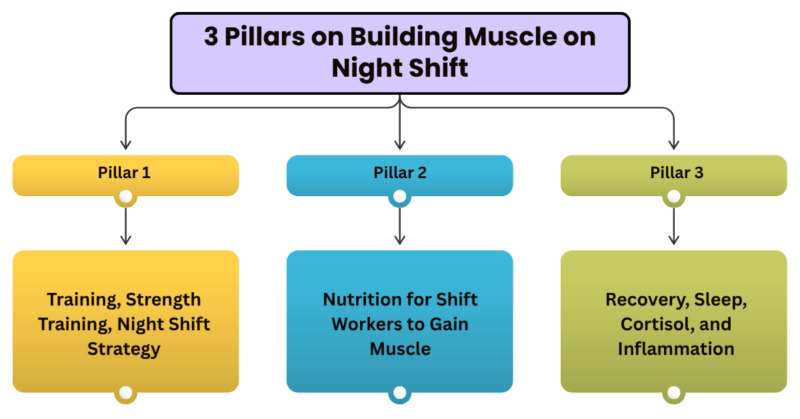 Build Muscle on Night Shift