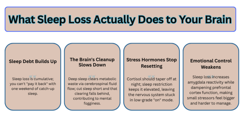 What Sleep Loss Actually Does to Your Brain