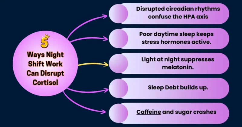 How Night Shift Work Can Disrupt Cortisol